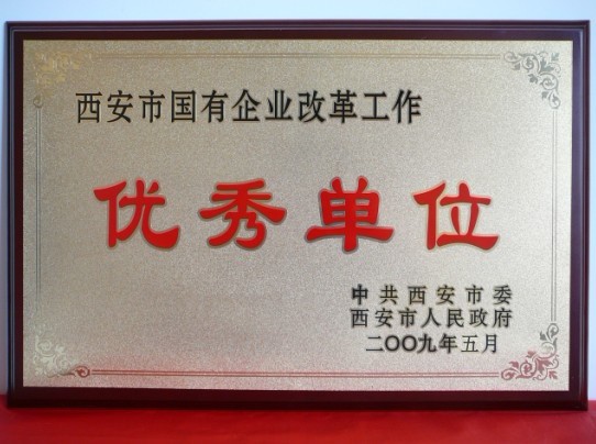 2009年5月，被西安市委、市政府評(píng)為西安市國(guó)企業(yè)改革工作優(yōu)秀單位