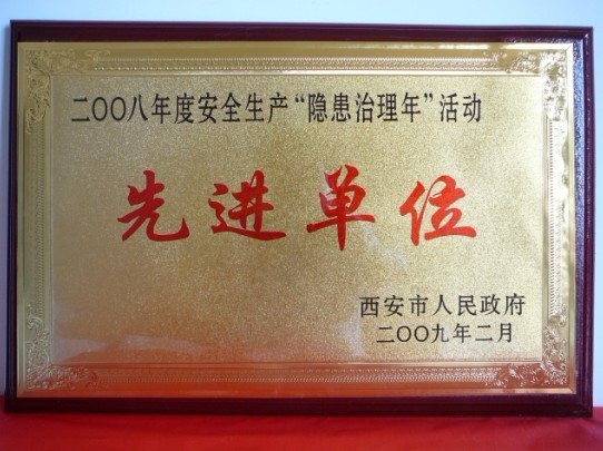 2009年2月，被西安市人民政府評(píng)為2008年度安全生產(chǎn)“隱患治理年”活動(dòng)先進(jìn)單位