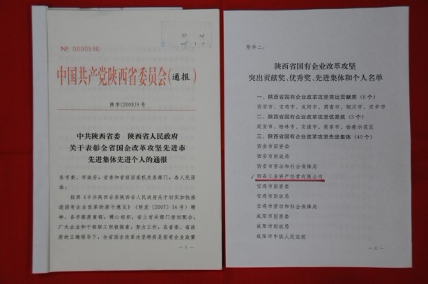 2009年2月，被陜西省委、省政府授予陜西省國(guó)有企業(yè)改革攻堅(jiān)先進(jìn)集體